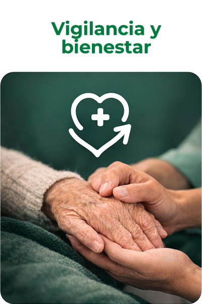 bloque 2_Vigilancia y bienestar con imagen